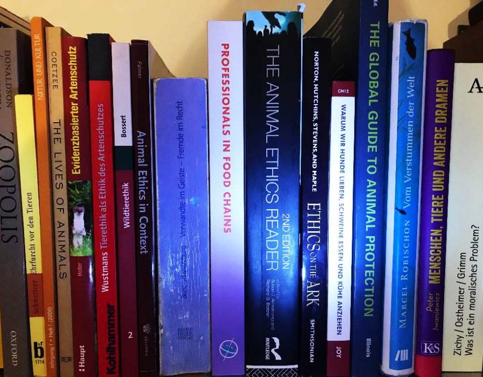 Foto eines Bücherschrank mit bunter Ethikbuchsammlung