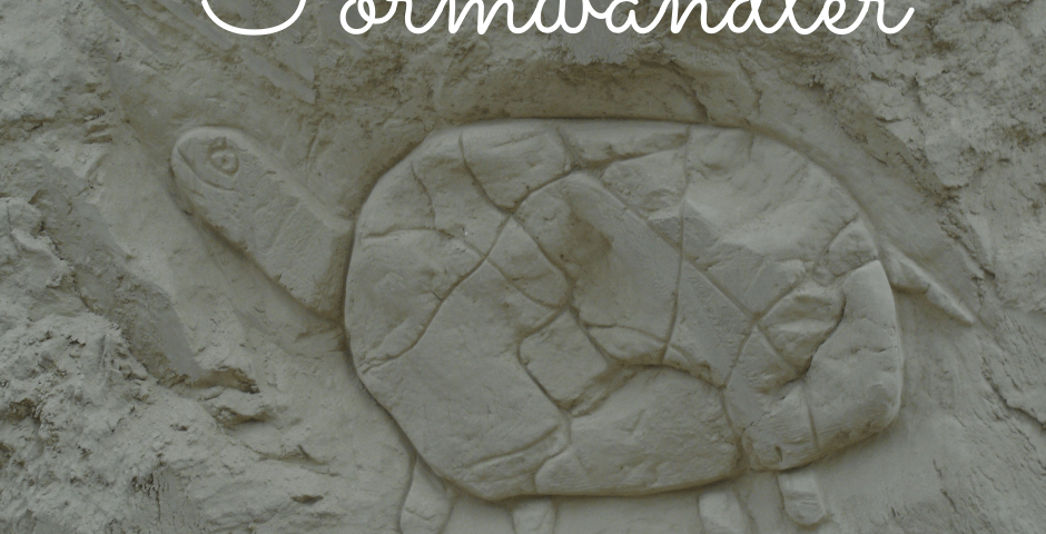 Sandskulptur Schildkröte am Ozora Festival - Überschrift "Formwandler"