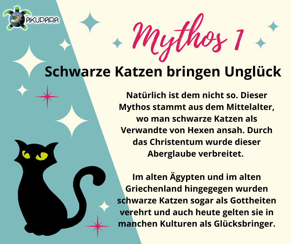 Mythos 1 - Schwarze Katzen bringen Unglück
