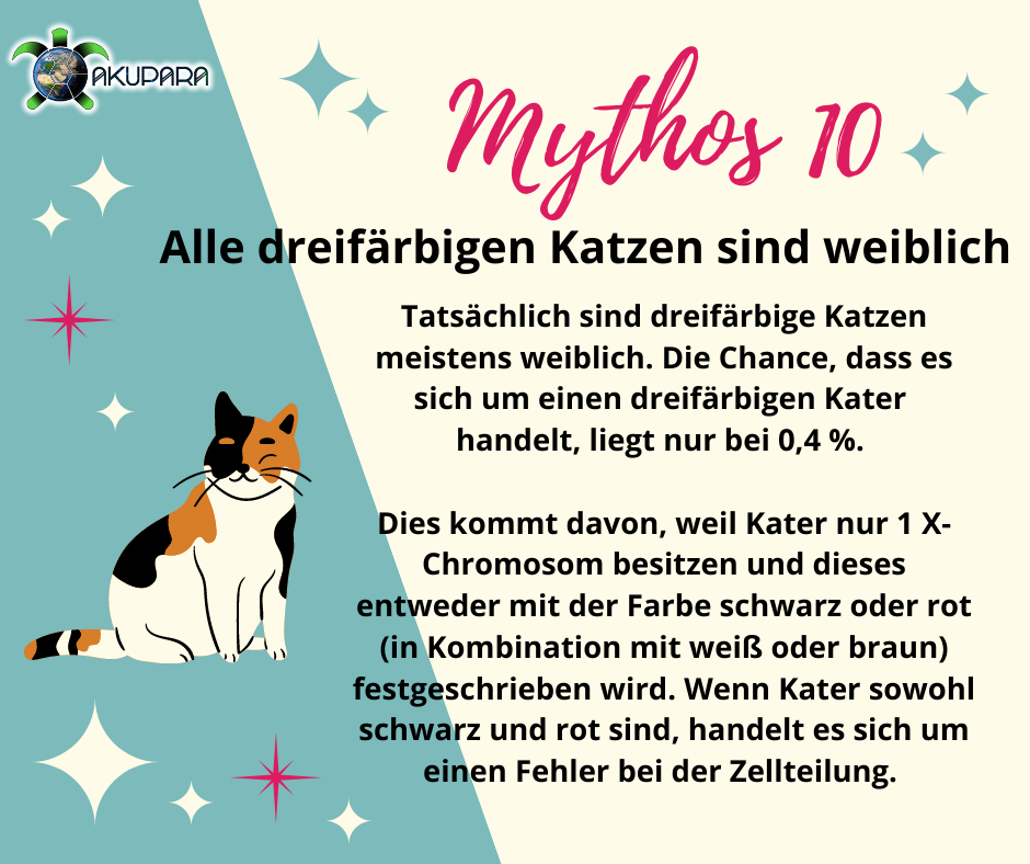 Mythos 10 - Alle dreifärbigen Katzen sind weiblich