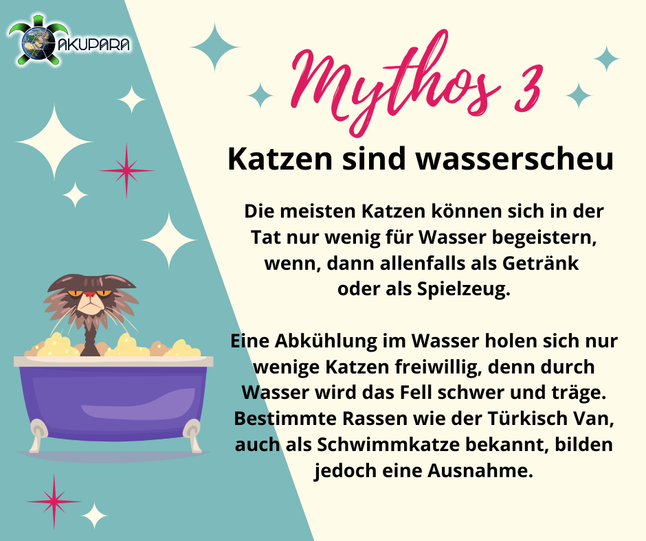 Mythos 3 - Katzen sind wasserscheu