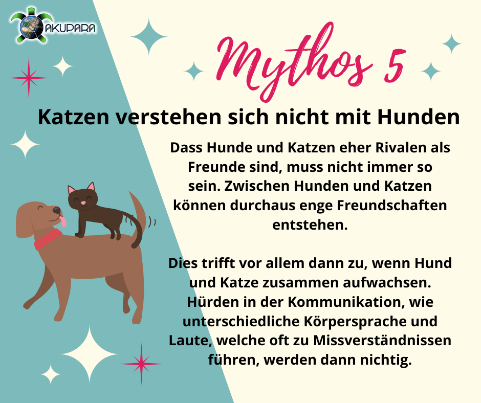 Mythos 5 - Katzen verstehen sich nicht mit Hunden