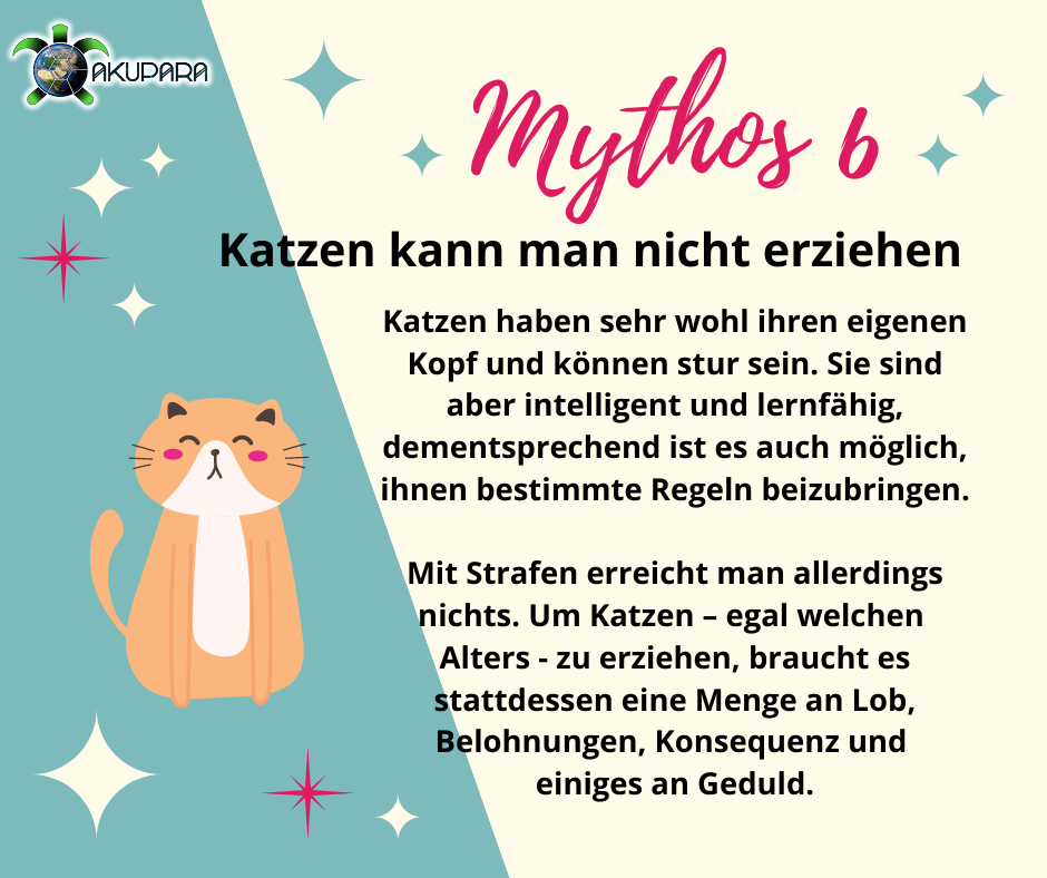Mythos 6 - Katzen kann man nicht erziehen