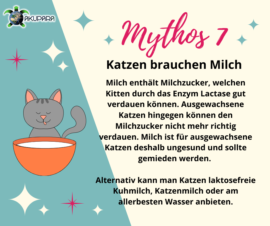 Mythos 7 - Katzen brauchen Milch