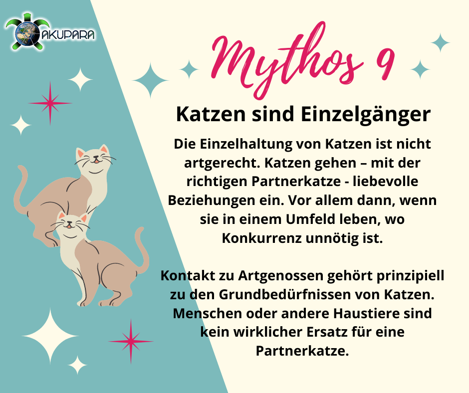Mythos 9 - Katzen sind Einzelgänger
