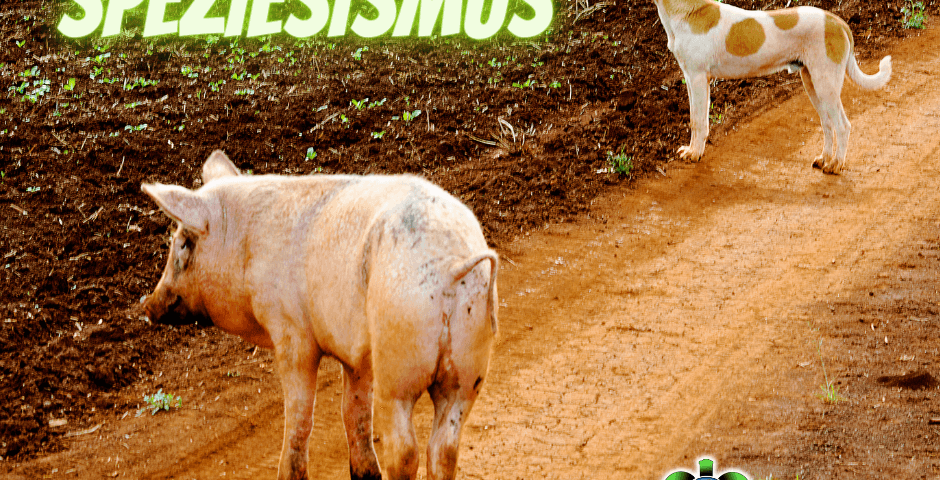 Schwein und Hund stehen auf einem Feldweg, darüber der Schriftzug Speziesismus