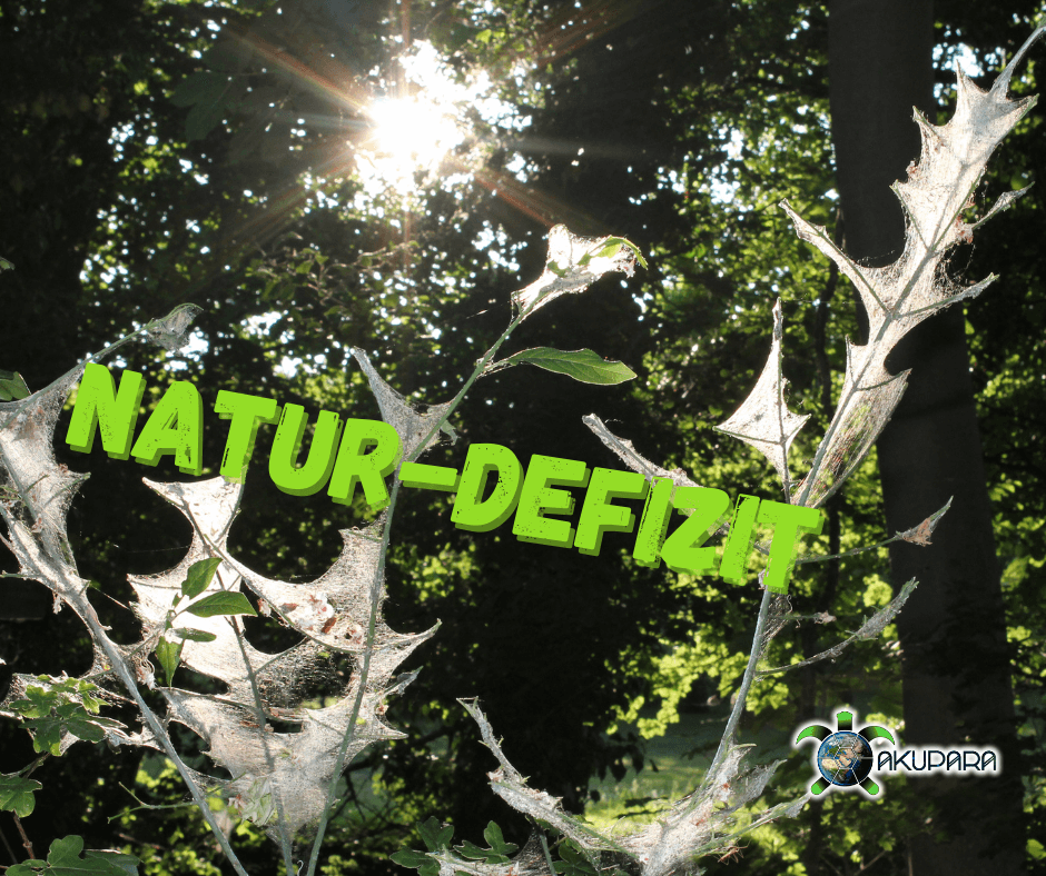 Spinnennetz und Sonne mit Überschrift Natur-Defizit