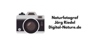 Naturfotograf Jörg Riedel
