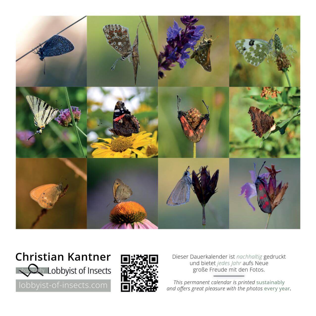 AKUPARA-Tierschutz-Artenschutz-Naturschutz-Naturfotografin-lobbyist-of-insects