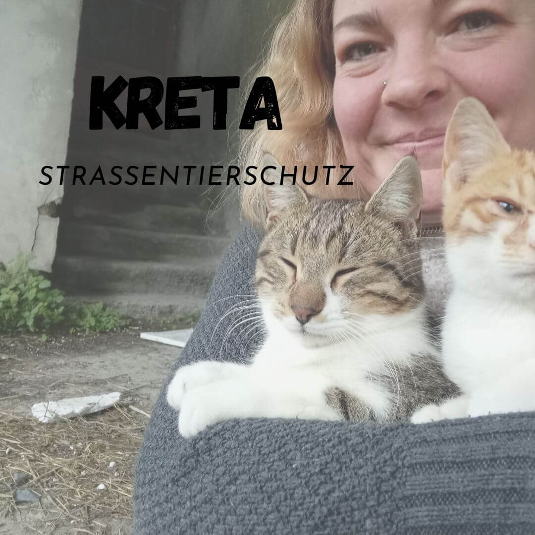 Lydia, hier zu sehen mit zwei Katzen betreibt auf Kreta Straßentierschutz