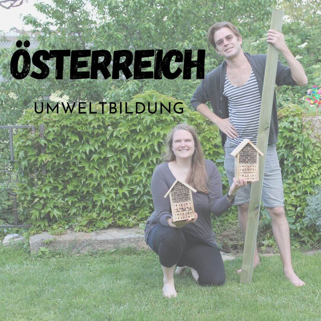 Bettina betreibt in Österreich Umweltbildung zum Beispiel Wanderungen entlang eines Insektenlehrpfads